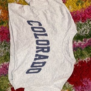 Brandy Melville cropped Colorado t shirt